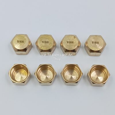 Nắp bích 17 Cho Van Khóa Cục Nóng - Nắp bích vss lớn