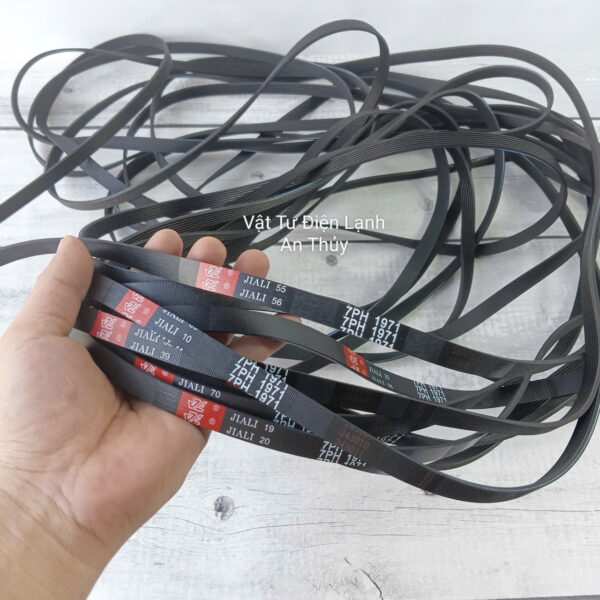 Dây curoa máy sấy Electrolux 1971